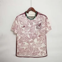 Mexico 2022 Away Kit